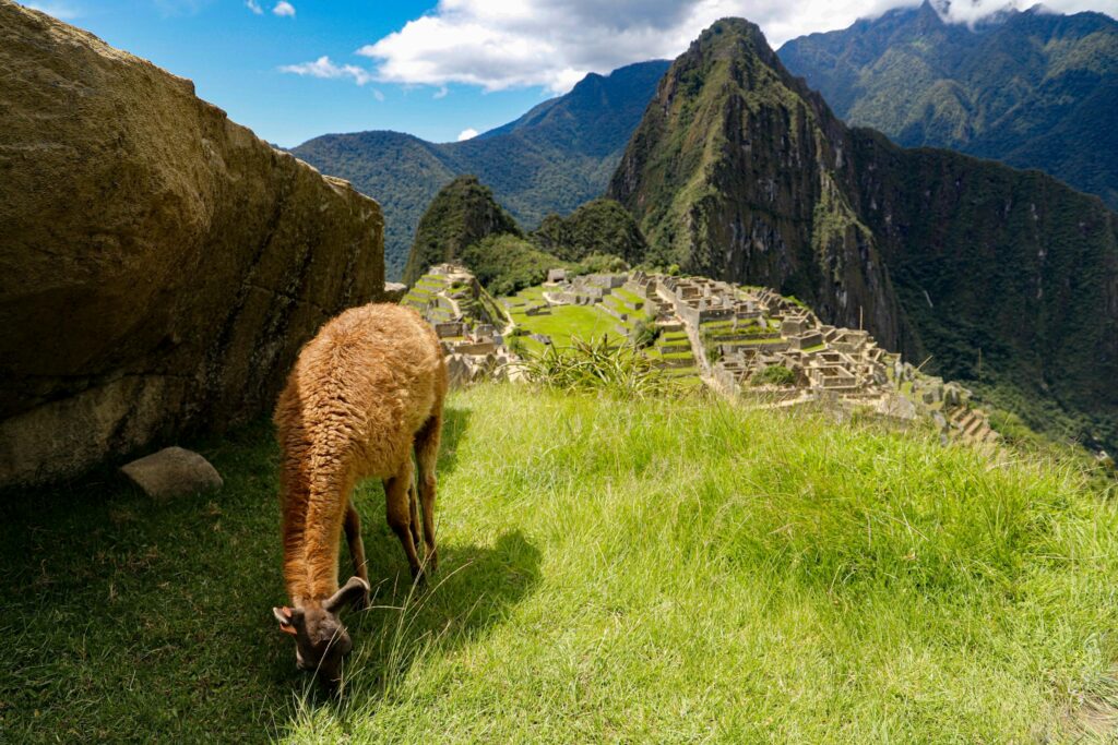 Machu Picchu Travel Tips