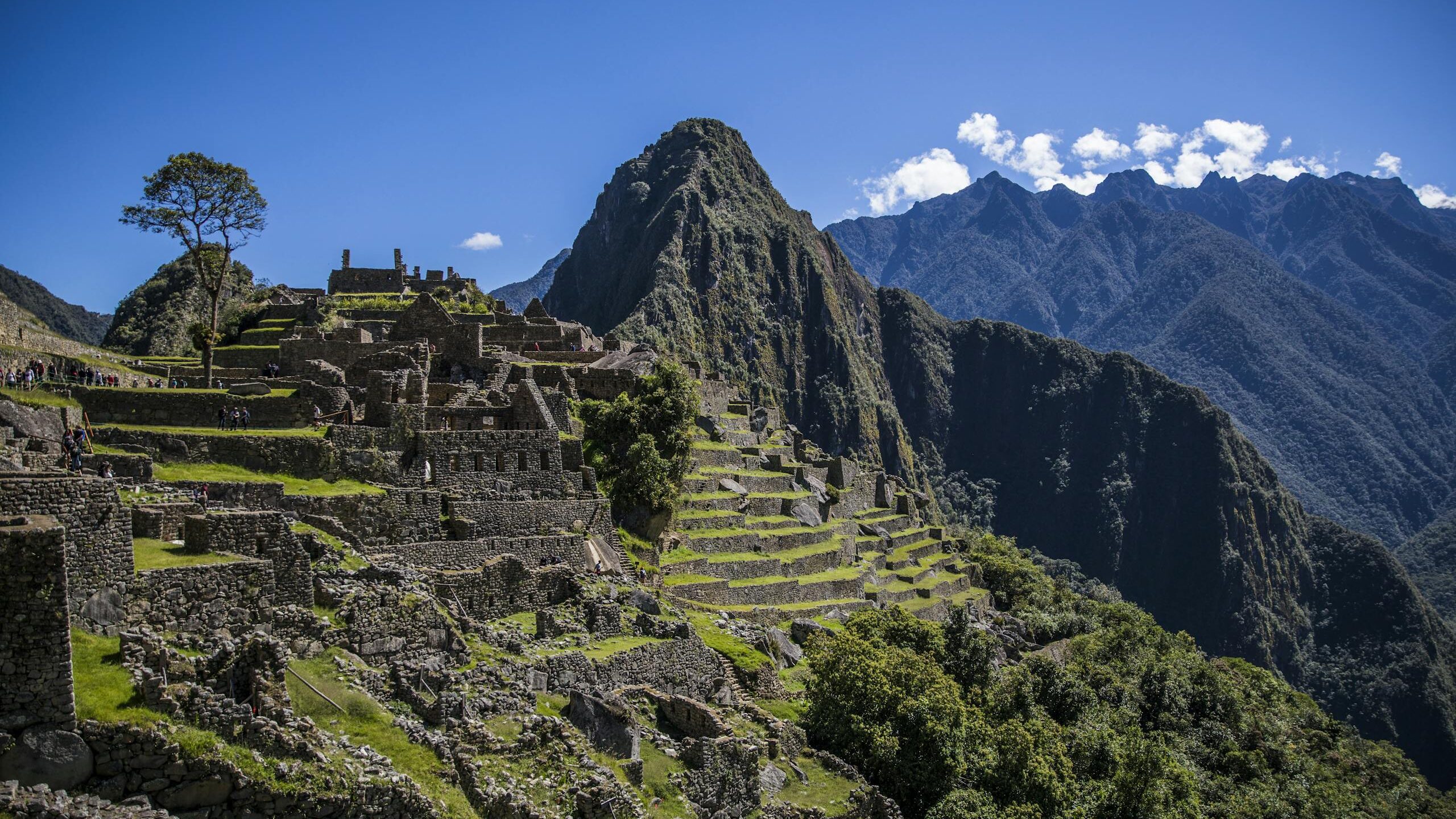 Machu Picchu tour guide