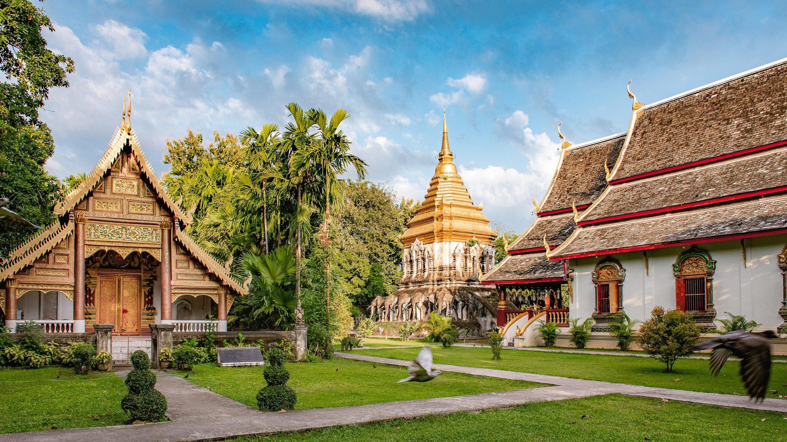 Solo Thailand