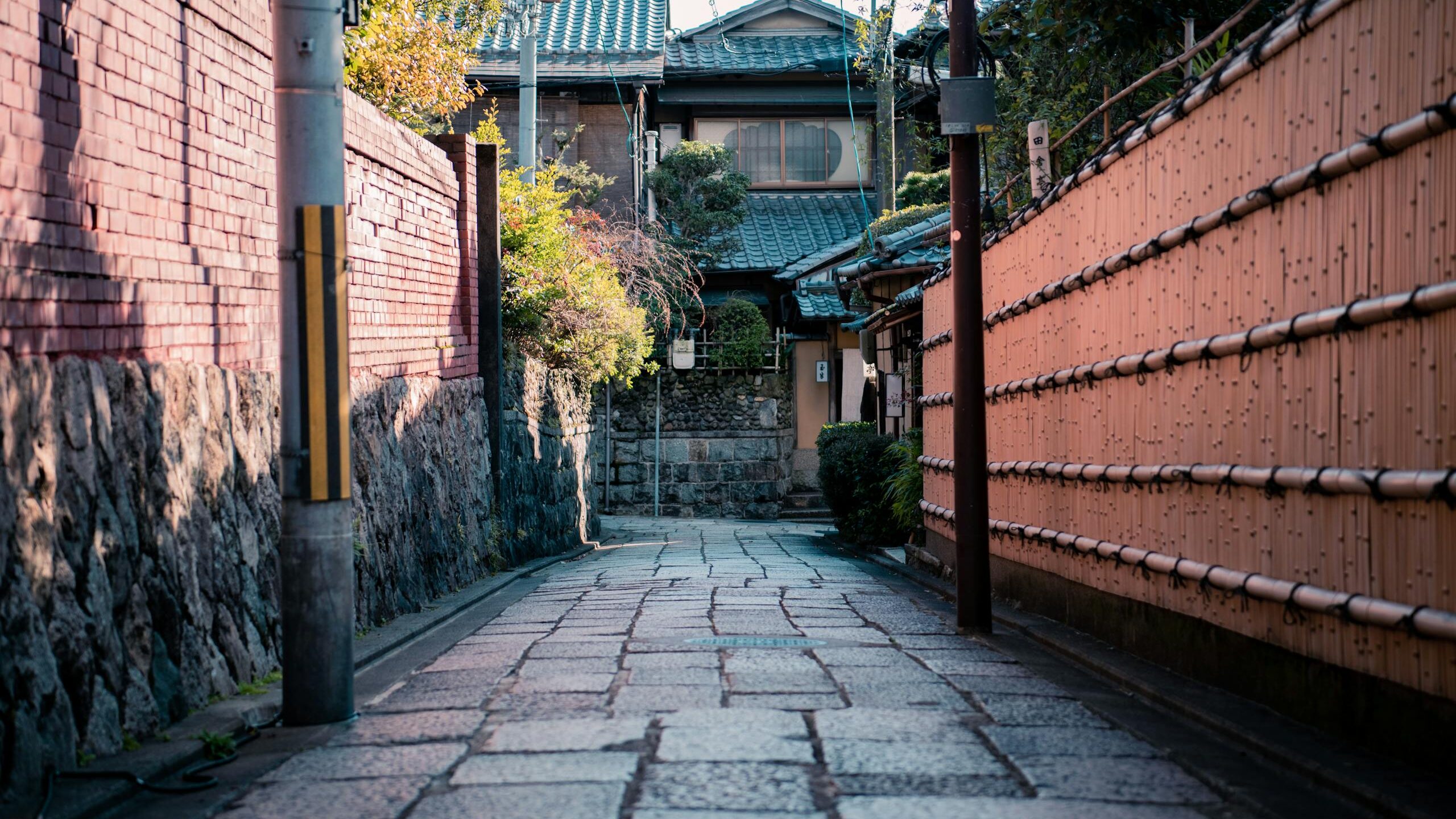 Solo Travel Japan